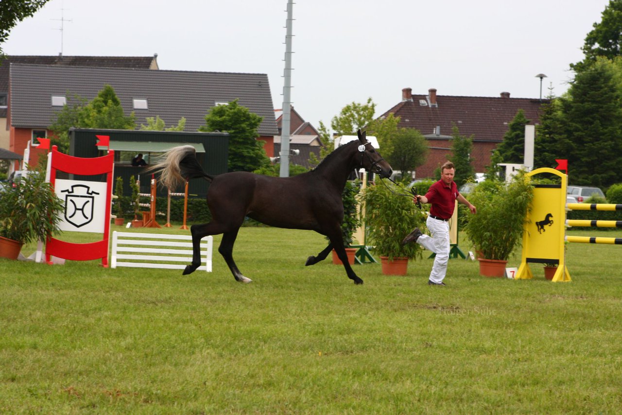 Bild 70 - Elmshorn am 9.6.10